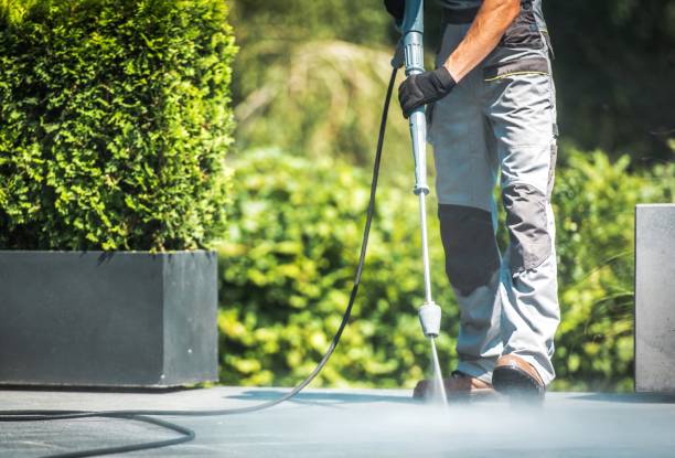 Professional Pressure Washing in Ridge Wood Heights, FL